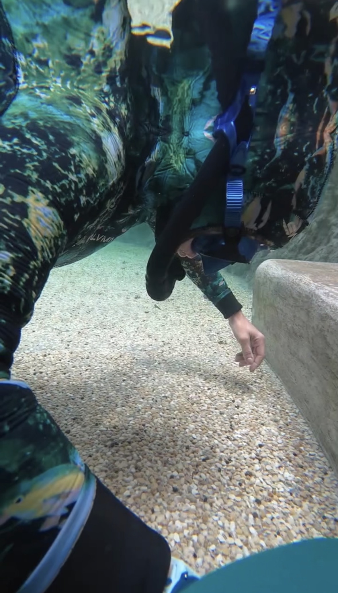 Freediver in a camouflage wetsuit reaching toward a sunlit gravel bottom